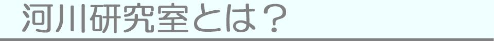 河川研究室とは