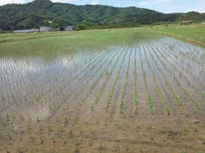 写真館｜やまがたフィールド科学センター｜山形大学農学部