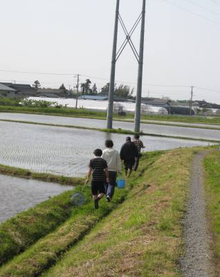 農村エリア