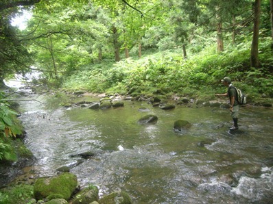 早田川流域図