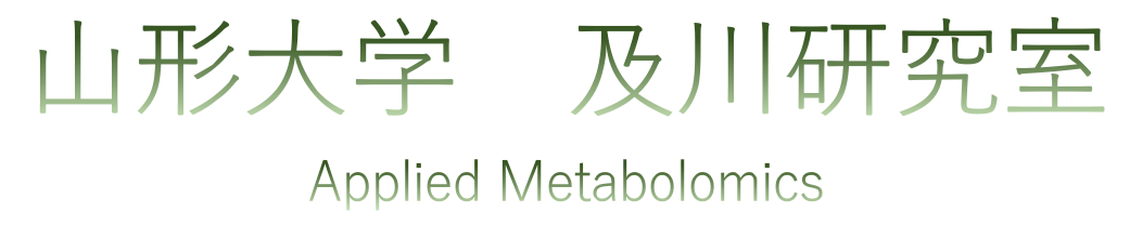 山形大学応用メタボロミクス研究分野（及川研究室）