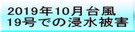 2019年10月台風 19号での浸水被害